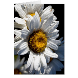 Cartão Daisy em cascata