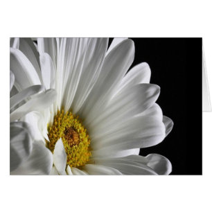Cartão Daisy em preto