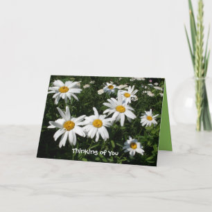 Cartão Daisy Happy Card