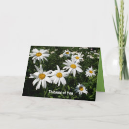 Cartão Daisy Happy Card