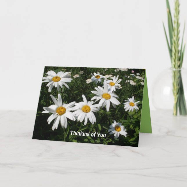 Cartão Daisy Happy Card (Frente)