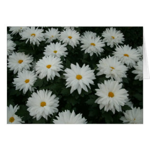 Cartão Daisy Mãe