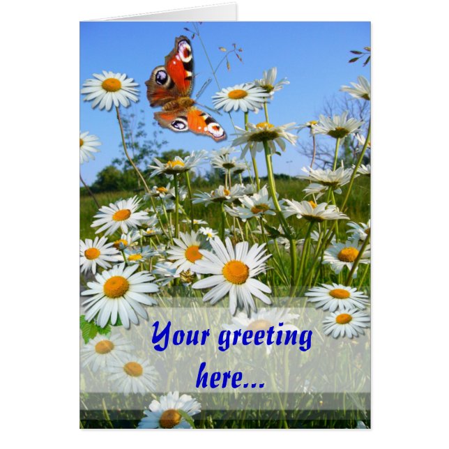 Cartão DAISY MEADOW ~ Card (Frente)