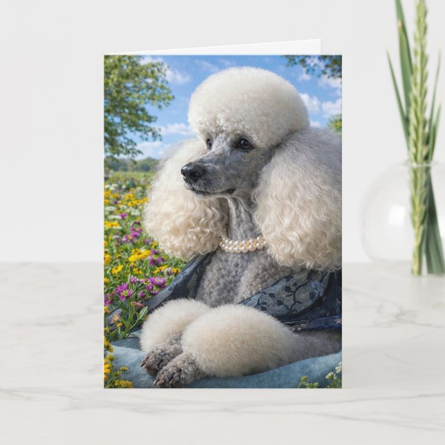 Cartão Daisy The Poodle Blank Card (Frente)