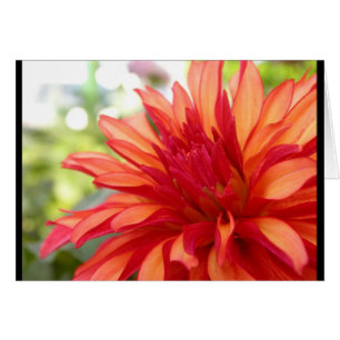 Cartão Dália