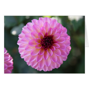 Cartão Dália