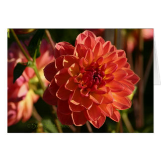 Cartão Dália A-2
