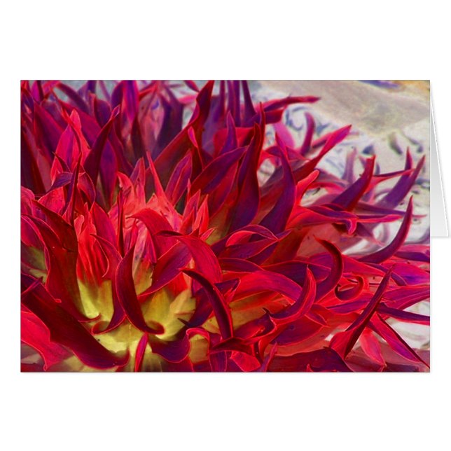 Cartão Dália de Exterra (Frente Horizontal)