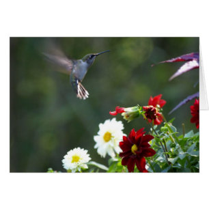 Cartão Dália Hummer