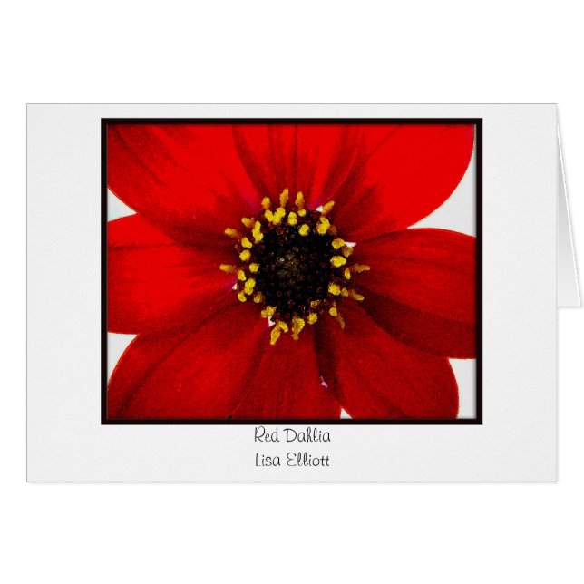 Cartão Dália vermelha (Frente Horizontal)