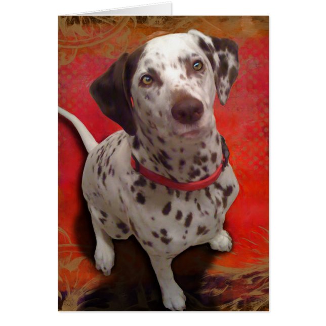 Cartão Dalmácia (Frente)