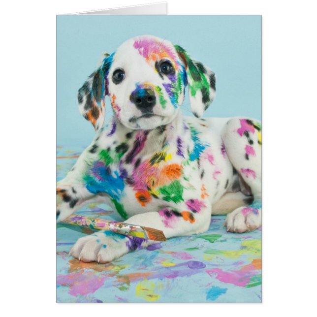 Cartão Dalmacilo (Frente)