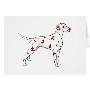Cartão Dalmatian do fígado