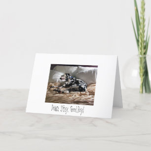 Cartão Dalmatian. Down. Stay. Good Boy!