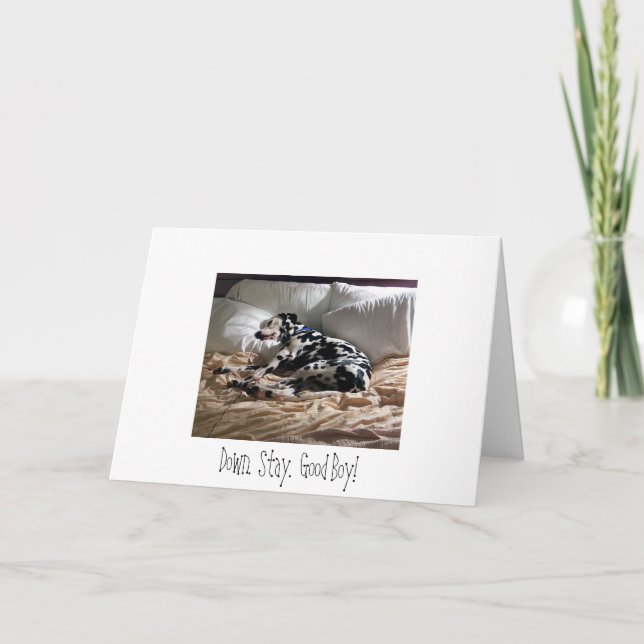 Cartão Dalmatian.  Down.  Stay.  Good Boy! (Frente)