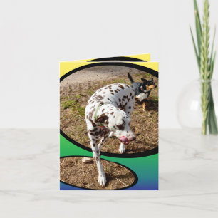 Cartão Dalmatic_On_Pastels,_Small_Note_Greeting_Card.
