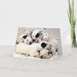 Cartão Dalmation_Puppies