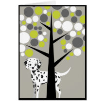Dalmation querido