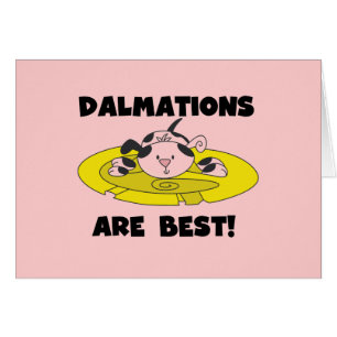 Cartão Dalmations é os melhores t-shirt e presentes