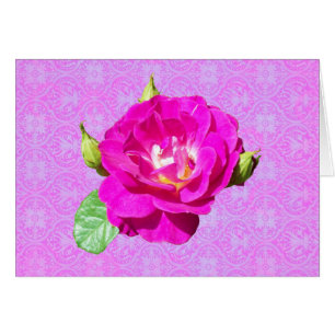 Cartão Damasco cor-de-rosa da violeta