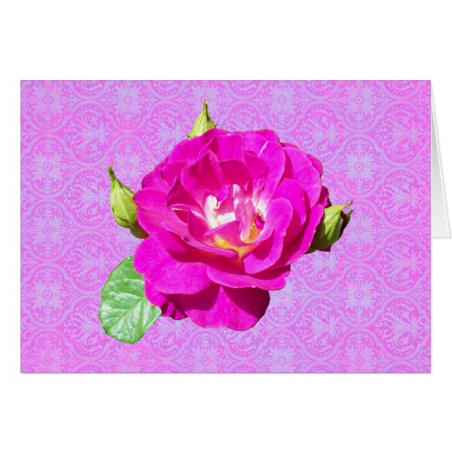 Cartão Damasco cor-de-rosa da violeta (Frente Horizontal)