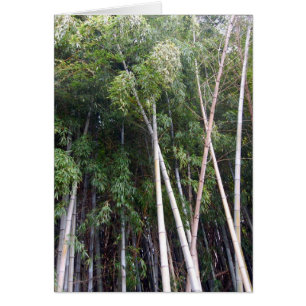 Cartão Dança de bambu