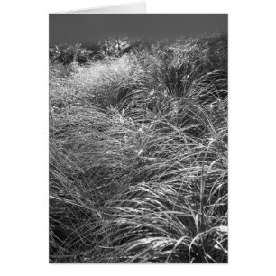 Cartão Dança de Sun