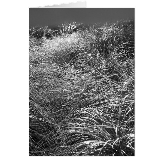 Cartão Dança de Sun (Frente)