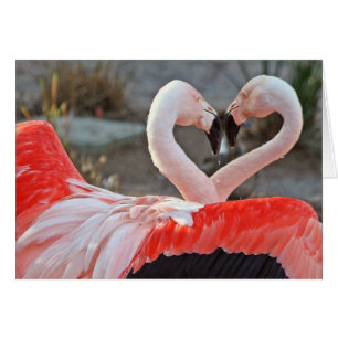 Cartão Dança do amor