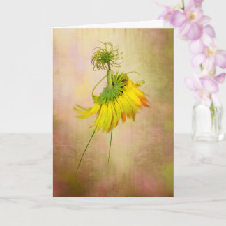 Cartão Dançarina de Jardim