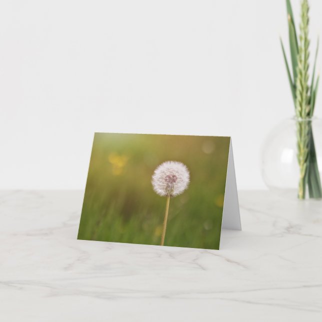 Cartão Dances with Dandelions Note Card (Frente)