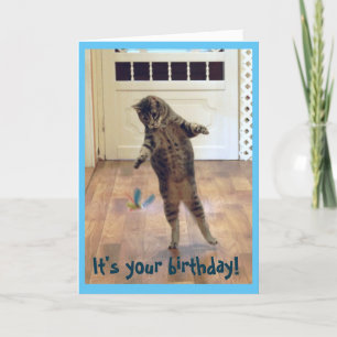 Cartão Dancing Tabby Cat Birthday