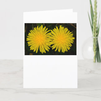Cartão Dandelion
