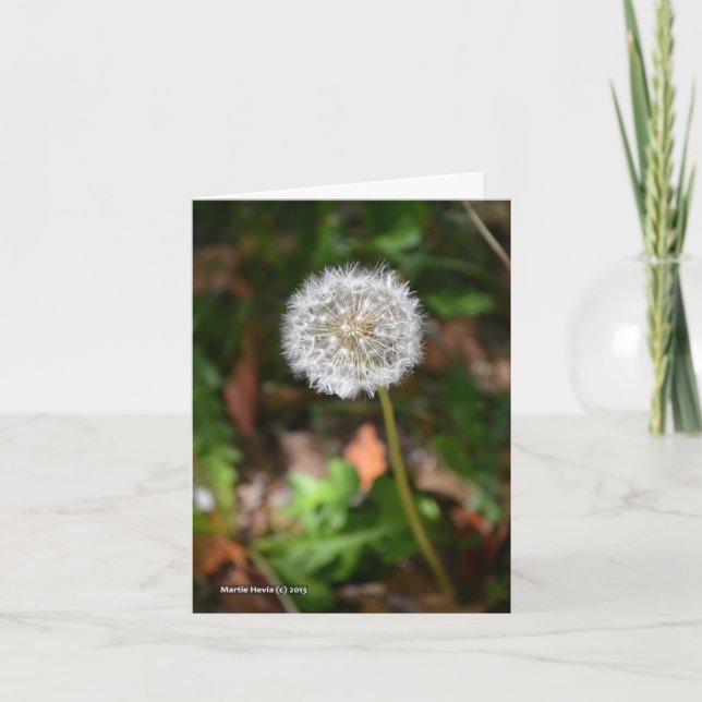 Cartão Dandelion (Frente)