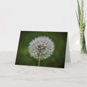 Cartão Dandelion