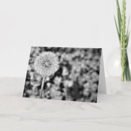 Cartão Dandelion