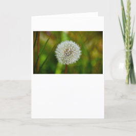 Cartão Dandelion