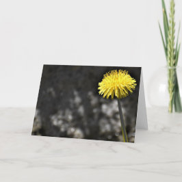 Cartão Dandelion