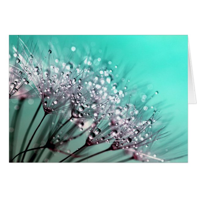 Cartão Dandelion (Frente Horizontal)