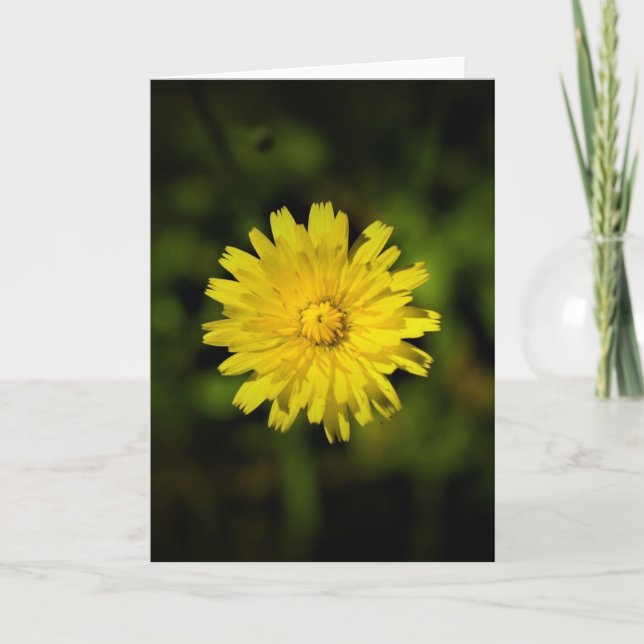 Cartão Dandelion (Frente)