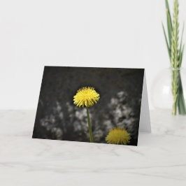 Cartão Dandelion