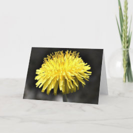 Cartão Dandelion