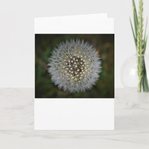 Cartão Dandelion