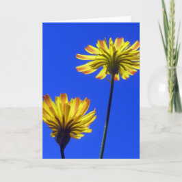 Cartão Dandelion Amarelo, Céu Azul, Natureza Feliz e Posi