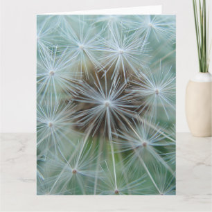 Cartão Dandelion Branco