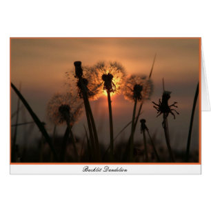 Cartão Dandelion com iluminação traseira