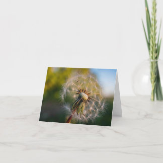 Cartão Dandelion Fluffball Notecard