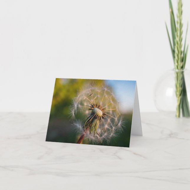 Cartão Dandelion Fluffball Notecard (Frente)