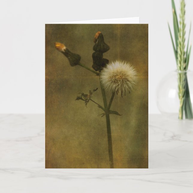 Cartão Dandelion Greeting Card (Frente)