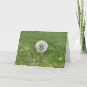 Cartão Dandelion Greeting Card